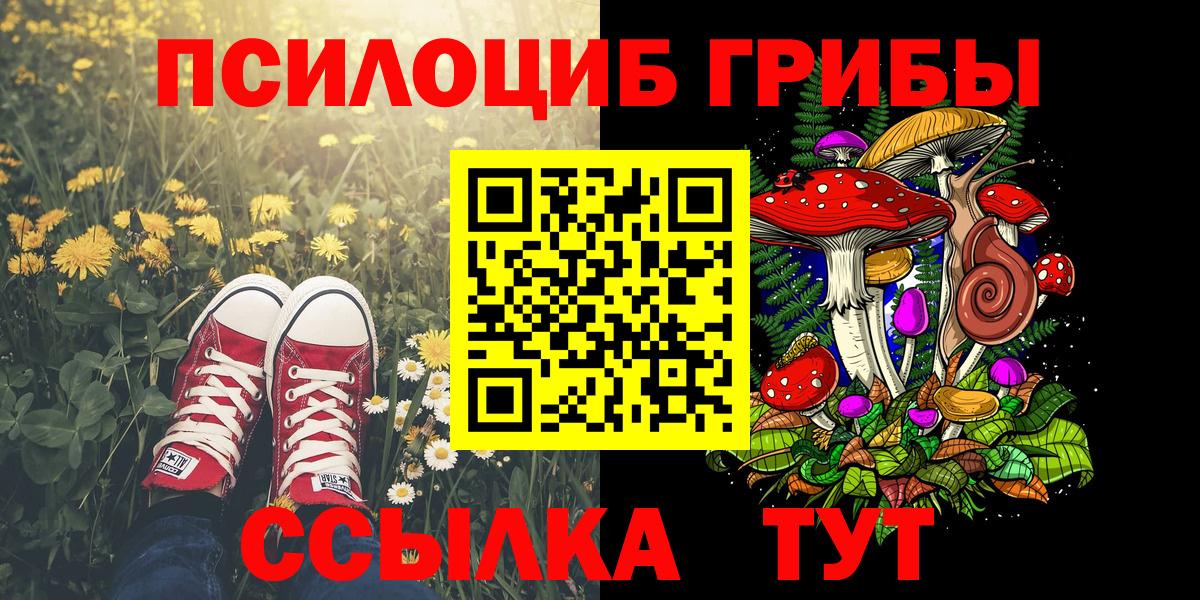 Псилоцибиновые грибы GOLDEN TEACHER  Вход с VPN  Звенигород 